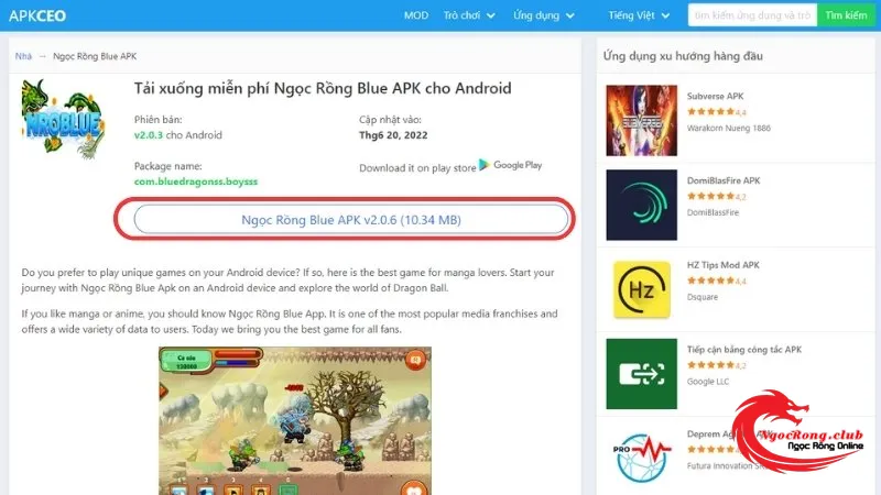 Cách tải game Nro Blue – Ngọc Rồng Blue mới nhất